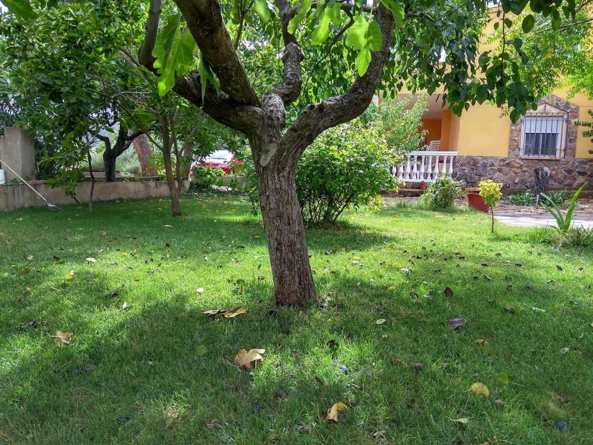 Villa El Gallo Los Cortijos エクステリア 写真